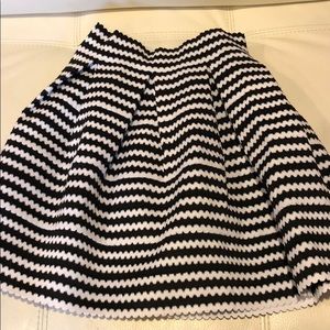 Express Circle Skirt